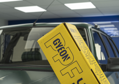 Peugeot 505 DANGEL PPF