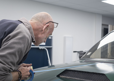 Peugeot 505 DANGEL PPF